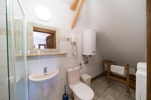 a bathroom with a toilet and a sink at Polana Sosny in Niedzica Zamek