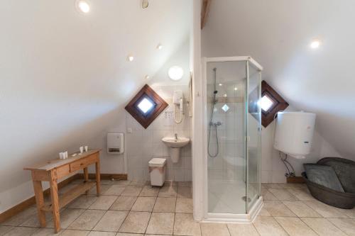 a bathroom with a shower and a toilet and a sink at Polana Sosny in Niedzica Zamek
