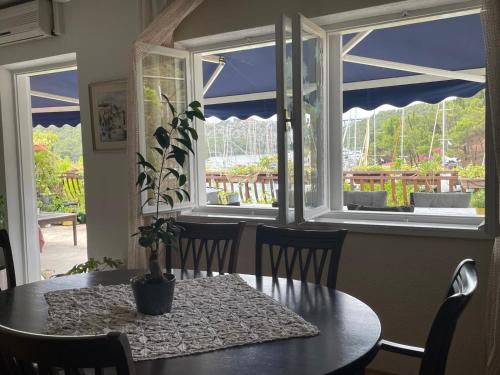a dining room table with a potted plant on it at Wine Garden old apartment in Skradin