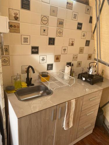 a kitchen with a sink and a counter top at Terrana Ecolodge Mountain Domes in Ciudad Lujan de Cuyo