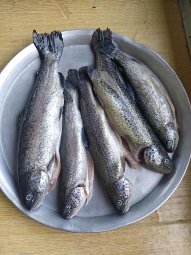 a bowl of fish on a plate on a table at Vardzia Old Village in Vardzia