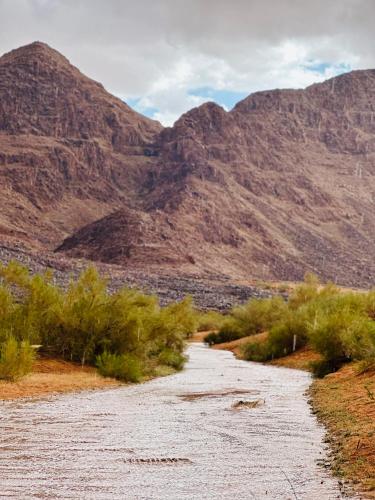 Příroda nedaleko kempu