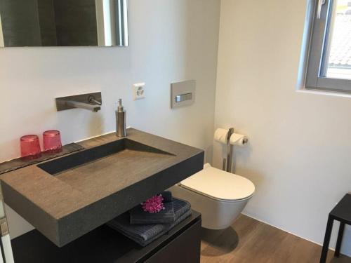 a bathroom with a sink and a toilet at 1-bedroom holiday apartment in Ascona