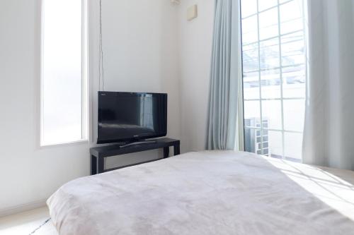 Televisyen dan/atau pusat hiburan di Soshigaya Apartment