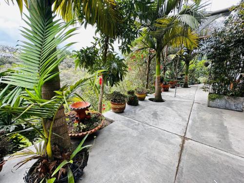 Jardín al aire libre en Ecohotel campestre Rionegro-A 20 minutos del aeropuerto