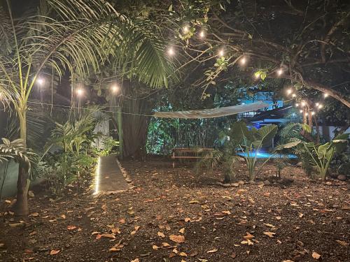 a garden at night with a hammock and lights at Studio Apartment 2 & AC-2 Pools-Jungle-Beach-WiFi-TV in Cocles