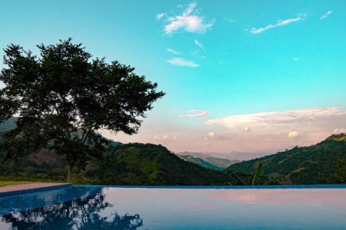 a swimming pool with a tree and mountains in the background at Quinta Maka VistaHermosa in Villeta