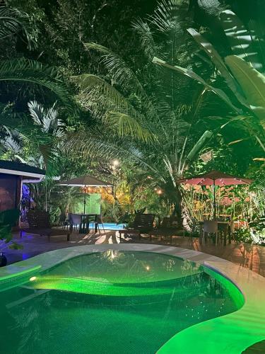 Πισίνα στο ή κοντά στο Studio Apartment 3 & AC-2 Pools-Jungle-Beach-WiFi-TV