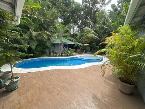 Πισίνα στο ή κοντά στο Studio Apartment 3 & AC-2 Pools-Jungle-Beach-WiFi-TV