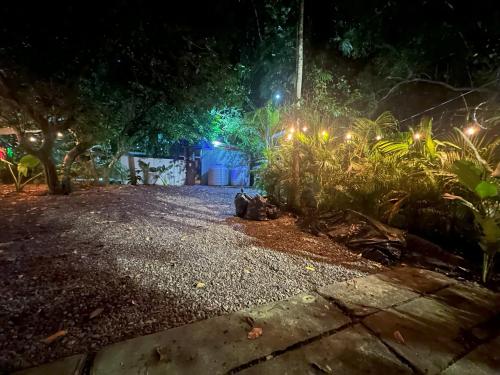 Κήπος έξω από το Studio Apartment 3 & AC-2 Pools-Jungle-Beach-WiFi-TV