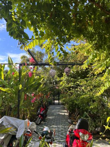a group of motorcycles parked on a path with plants at Laoxao Homestay in Hoi An