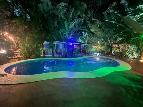 Πισίνα στο ή κοντά στο Tree House-2 Bedrooms & AC-2 Pools-jungle-Beach-WiFi-TV