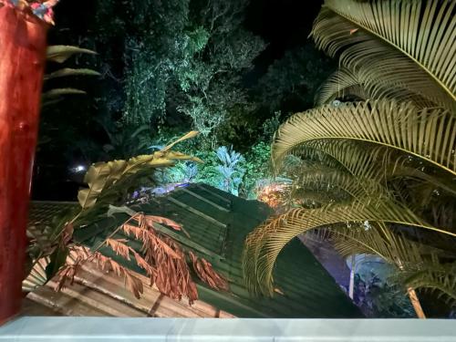 Κήπος έξω από το Tree House-2 Bedrooms & AC-2 Pools-jungle-Beach-WiFi-TV