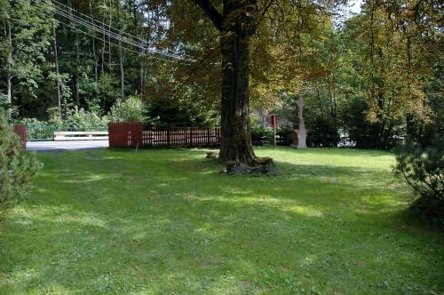 Un jardín fuera de Orlí Hnízdo