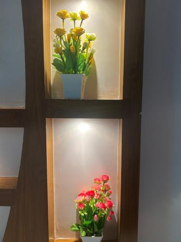 two pots of flowers sitting on a shelf at Mangala Residency in Cola