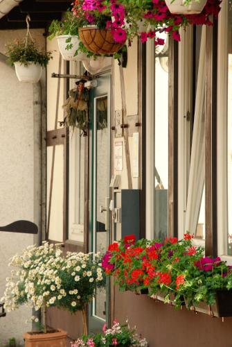 a bunch of flowers in pots on a window at Hotel Abtshof in Halberstadt