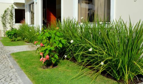 a garden with flowers and plants in front of a house at Residencial Portinari LTDA in Porto Seguro