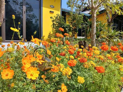 a garden of flowers in front of a yellow building at Catba Papillon Garden Bungalows & Resort in Cat Ba