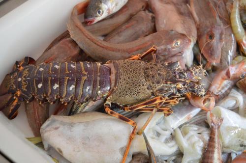 a bucket full of different types of crabs and fish at Hotel Royal - Beauty & Spa in Porto Cesareo