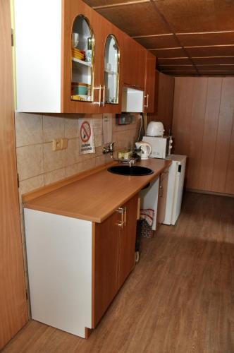 a kitchen with a sink and a counter top at Pension Nika in Český Krumlov