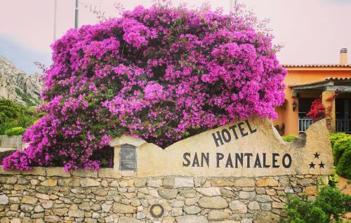 Κήπος έξω από το Hotel San Pantaleo