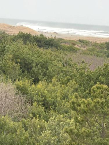 a view of the beach from a hill with trees at Coratel Inn Ocean Shores Extended Stay in Ocean Shores