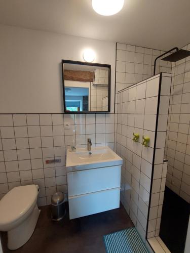 a bathroom with a toilet and a sink and a mirror at Les Deux Vélos Chambres d'Hotes-Table d'Hotes in Biert