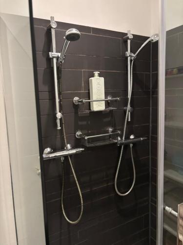 a bathroom with a shower with a hair dryer on the wall at 185m2 groot appartement met tuin in City Centre in Amsterdam