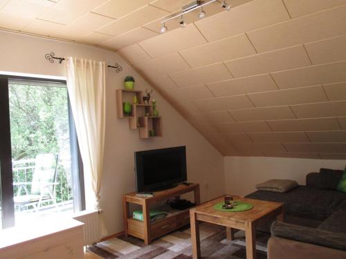 TV a/nebo společenská místnost v ubytování Ferienwohnung an der Lay