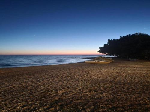 a beach with a tree and a boat on it at Apartment in Dinji ka by the Beach in Dinjiška