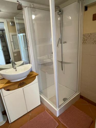 a bathroom with a shower and a sink at Baita Chalet del Colle in Corsanico-Bargecchia