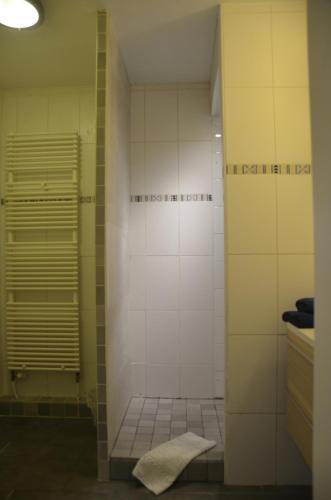 a bathroom with a shower with a towel on the floor at La Source du Broly in Soumagne