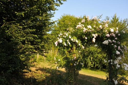 a garden with pink and white flowers on trees at La Source du Broly in Soumagne