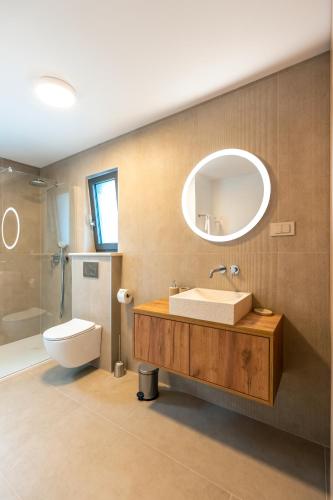 a bathroom with a sink and a toilet and a mirror at Casa Eva in Opric