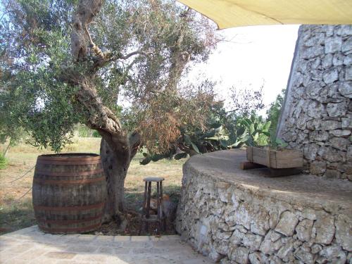 a tree and a barrel next to a stone wall at Trullo Contrada Stracca in Alliste