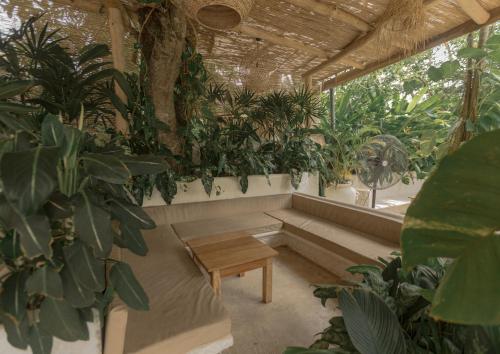 a room filled with lots of plants and a wooden bench at Roaming Retreat Ahangama in Ahangama