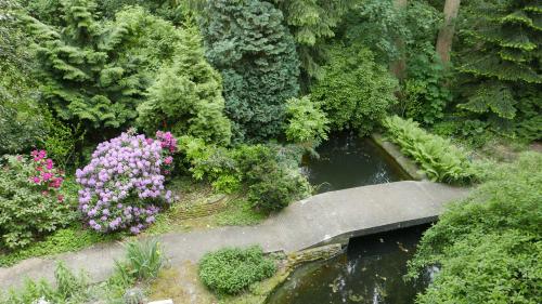an aerial view of a garden with a bridge and flowers at W.I.P. Welt im Park in Dresden