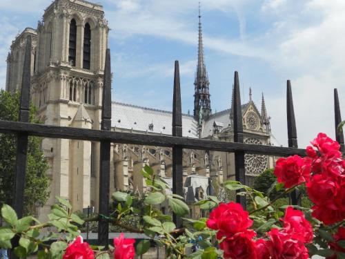 Saint Germain & Buci FLAT