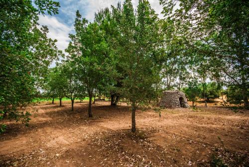 Gallery image of Tenuta Kyrios Agriresort Restaurant & Pool in Borgagne