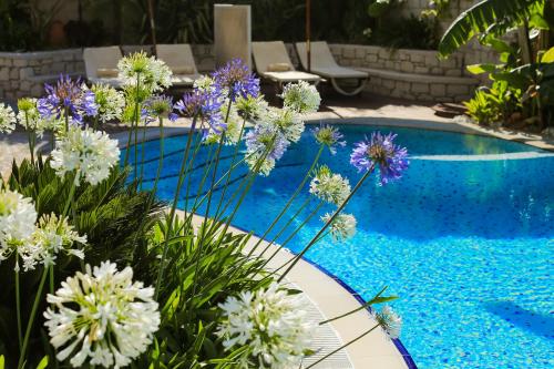 Πισίνα στο ή κοντά στο Cumbali Konak Hotel (Adults Only +12)