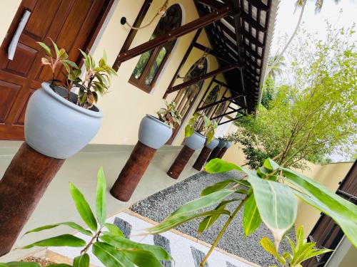a group of potted plants on the floor of a building at The Arch View in Habaraduwa