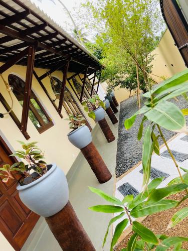 a group of potted plants on the side of a building at The Arch View in Habaraduwa