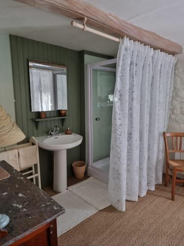 une salle de bain avec un rideau de douche et un lavabo dans l'établissement Chez Brown, à Saint-Thomas-de-Cônac