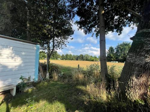 a blue building next to a field with a tree at Ibiza chalet in natuurlijke omgeving in Bergen op Zoom