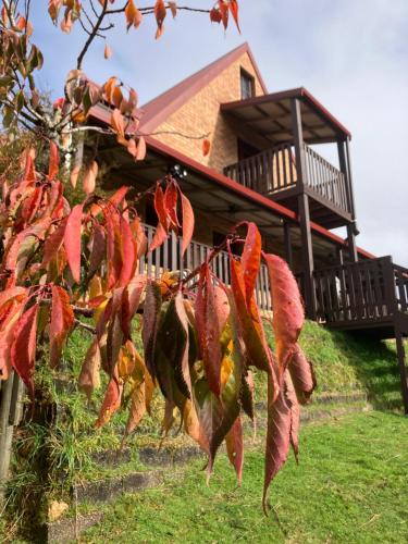 Zahrada ubytování SeaHen Lodge