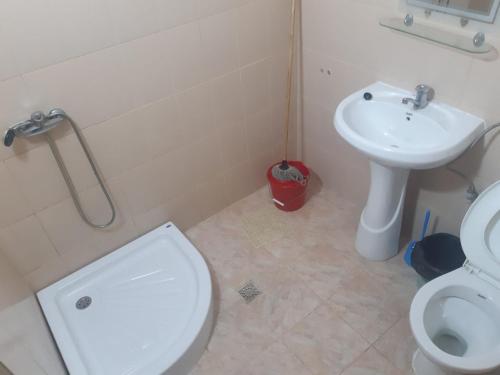 a bathroom with a toilet and a sink at Casa Dina in Băile Herculane