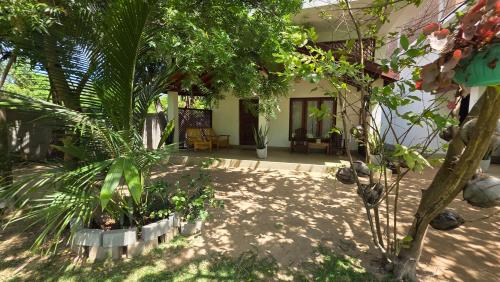 a patio with trees and plants in front of a house at The Dream Inn Guesthouse Passikudah in Batticaloa