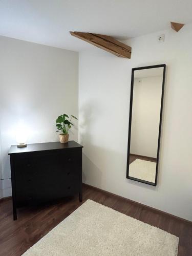 Fotografie z fotogalerie ubytování GreenTreeHomes - Penthouse Willow v destinaci Bamberg