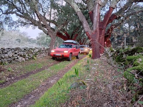 a red car parked on a dirt road next to a tree at Tapada das Carvalhas in Castelo Branco