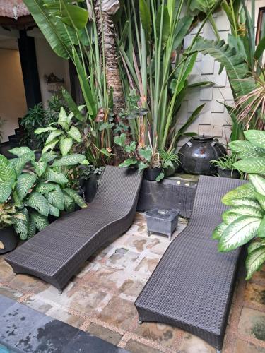 two black benches in a garden with plants at SURFARIS INN on poppies 2 in Legian